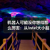 机器人可能没你想得那么厉害：从Intel大小脑融合思路谈起（图1）