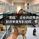 “果链” 企业共达电声起诉苹果专利侵权，索赔 1.43 亿元（图2）