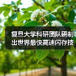复旦大学科研团队研制出世界最快高速闪存技术，每秒25亿次操作！（图4）