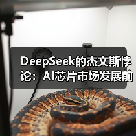 DeepSeek的杰文斯悖论：AI芯片市场发展前瞻（图2）