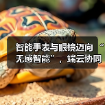 智能手表与眼镜迈向 “无感智能”，端云协同破解 “不可能三角” 难题（图3）