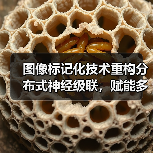 图像标记化技术重构分布式神经级联，赋能多模态AI设备（图4）