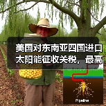 美国对东南亚四国进口太阳能征收关税，最高达 3521%（图3）