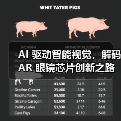 AI 驱动智能视觉，解码 AR 眼镜芯片创新之路（图2）
