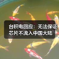 台积电回应：无法保证芯片不流入中国大陆（图4）