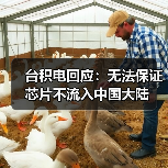台积电回应：无法保证芯片不流入中国大陆（图1）