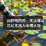 台积电回应：无法保证芯片不流入中国大陆（图3）