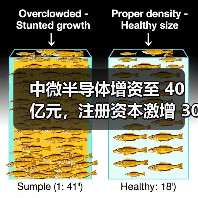 中微半导体增资至 40 亿元，注册资本激增 300%（图4）
