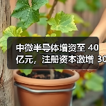 中微半导体增资至 40 亿元，注册资本激增 300%（图1）