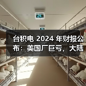台积电 2024 年财报公布：美国厂巨亏，大陆厂大赚（图2）
