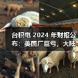台积电 2024 年财报公布：美国厂巨亏，大陆厂大赚（图1）