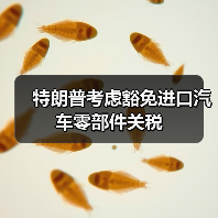 特朗普考虑豁免进口汽车零部件关税（图2）