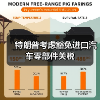 特朗普考虑豁免进口汽车零部件关税（图3）