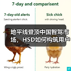 地平线登顶中国智驾市场，HSD如何构筑用户信任？（图3）