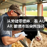 从关键零组件，看 AI/AR 眼镜市场突围路径（图4）