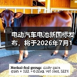 电动汽车电池新国标发布，将于2026年7月1日施行（图3）