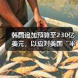 韩国追加预算至230亿美元，以应对美国“半导体关税”（图3）