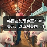 韩国追加预算至230亿美元，以应对美国“半导体关税”（图1）