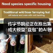 传字节跳动正在推出集成大模型