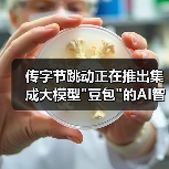 传字节跳动正在推出集成大模型