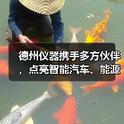 德州仪器携手多方伙伴，点亮智能汽车、能源、工业新未来（图1）