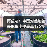 再反制！中国对美加征关税税率提高至125%！（图3）