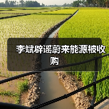 李斌辟谣蔚来能源被收购（图4）