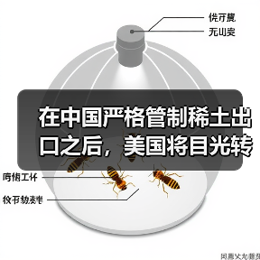 在中国严格管制稀土出口之后，美国将目光转向“海底资源”（图1）