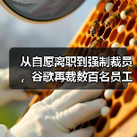 从自愿离职到强制裁员，谷歌再裁数百名员工（图1）