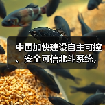 中国加快建设自主可控、安全可信北斗系统，利好北斗导航概念股（图2）