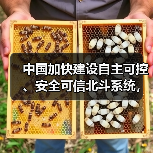中国加快建设自主可控、安全可信北斗系统，利好北斗导航概念股（图1）