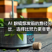 AI 眼镜爆发前的路径分岔，选择比努力更重要（图3）