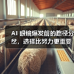 AI 眼镜爆发前的路径分岔，选择比努力更重要（图2）