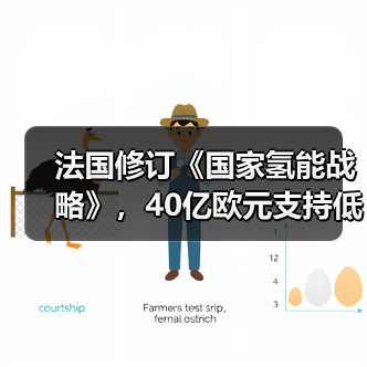 法国修订《国家氢能战略》，40亿欧元支持低碳氢能发展（图4）