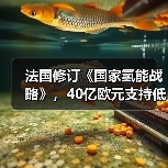 法国修订《国家氢能战略》，40亿欧元支持低碳氢能发展（图3）