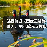 法国修订《国家氢能战略》，40亿欧元支持低碳氢能发展（图2）