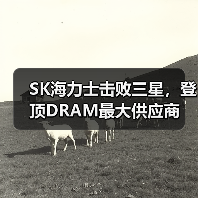 SK海力士击败三星，登顶DRAM最大供应商（图3）