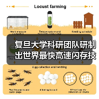 复旦大学科研团队研制出世界最快高速闪存技术，每秒25亿次操作！（图1）
