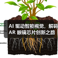 AI 驱动智能视觉，解码 AR 眼镜芯片创新之路（图2）