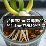 台积电2nm晶圆涨价10%！4nm或涨30%？背后原因曝光（图1）