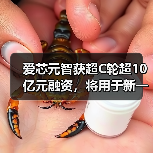 爱芯元智获超C轮超10亿元融资，将用于新一代AI芯片研发（图1）