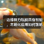 边缘算力赋能具身智能，本地化应用如何落地？（图1）