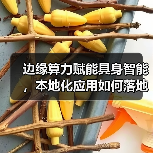 边缘算力赋能具身智能，本地化应用如何落地？（图2）
