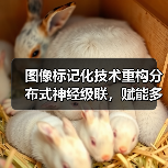 图像标记化技术重构分布式神经级联，赋能多模态AI设备（图4）