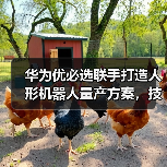 华为优必选联手打造人形机器人量产方案，技术如何破局？（图2）