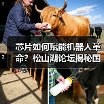 芯片如何赋能机器人革命？松山湖论坛揭秘国产芯突破（图4）