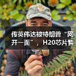 传英伟达被特朗普“网开一面”，H20芯片暂获出口“解禁”（图4）