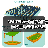 AMD市场份额持续扩张，谁将主导未来x86市场？（图3）
