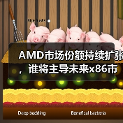 AMD市场份额持续扩张，谁将主导未来x86市场？（图4）
