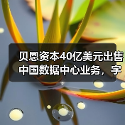 贝恩资本40亿美元出售中国数据中心业务，字节跳动成最大客户（图4）